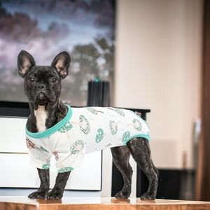 🐾 Dog Recovery Suit, New